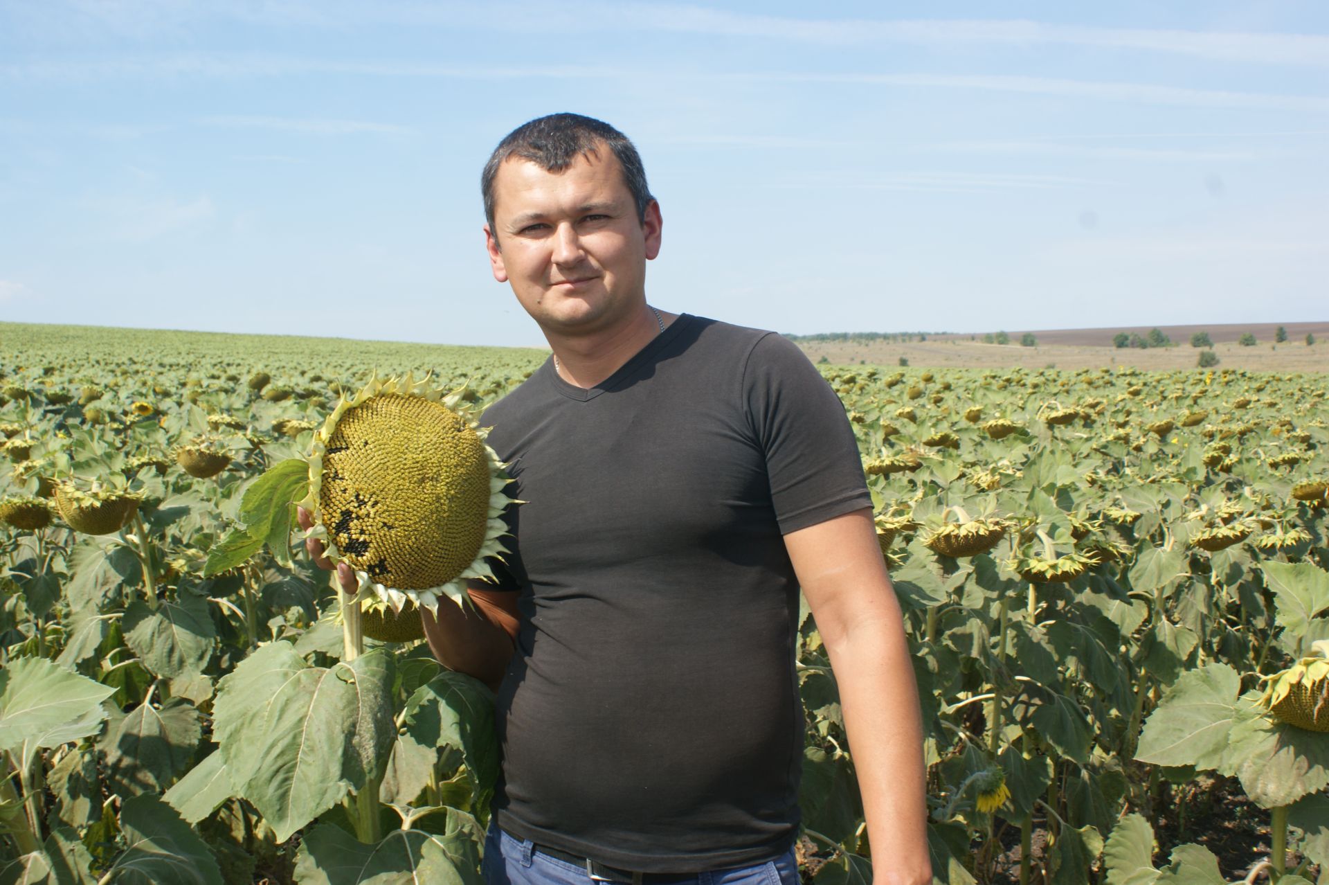 На полях молодой агроном - Искра - новости станицы Казанской